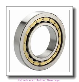 Toyana NF18/710 cylindrical roller bearings
