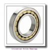 105 mm x 160 mm x 100 mm  ISO NNU6021 V cylindrical roller bearings