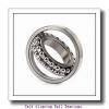 35 mm x 80 mm x 31 mm  ISO 2307-2RS self aligning ball bearings