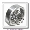 25 mm x 52 mm x 15 mm  FBJ 1205 self aligning ball bearings