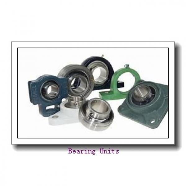 30 mm x 12 mm x 25 mm  NKE RTUEY30 bearing units #1 image