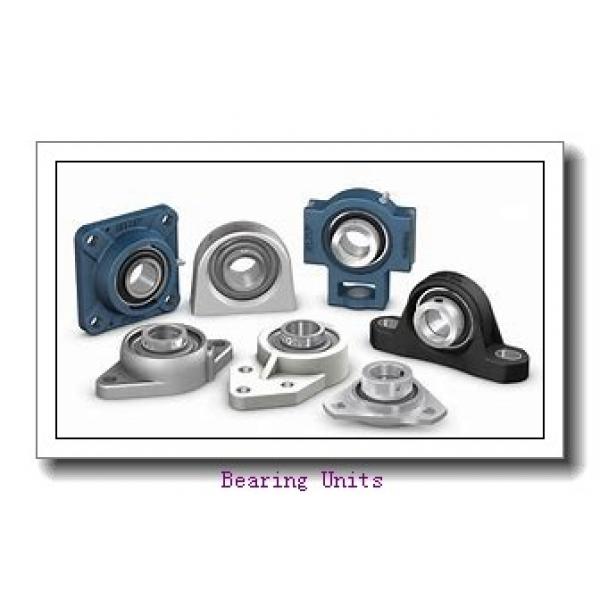 FYH UCF305-16 bearing units #1 image