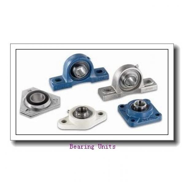 FYH NANFL202-10 bearing units #1 image