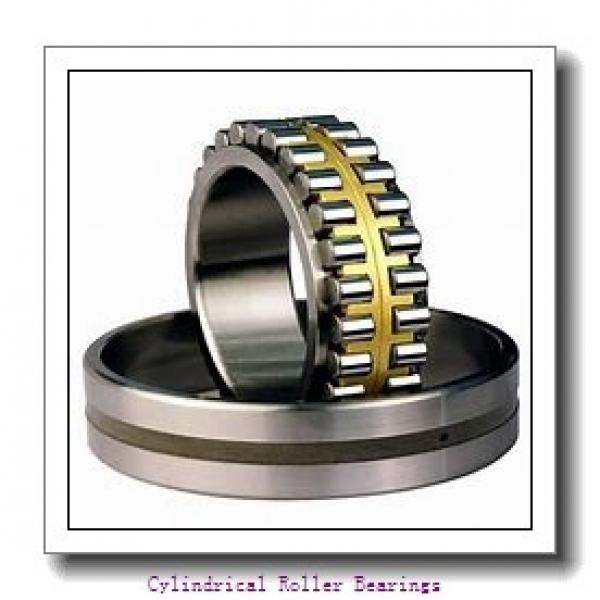 300 mm x 380 mm x 80 mm  NSK RS-4860E4 cylindrical roller bearings #1 image