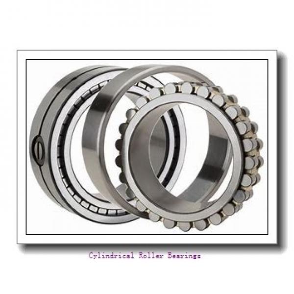 120 mm x 215 mm x 40 mm  ISB NJ 224 cylindrical roller bearings #1 image